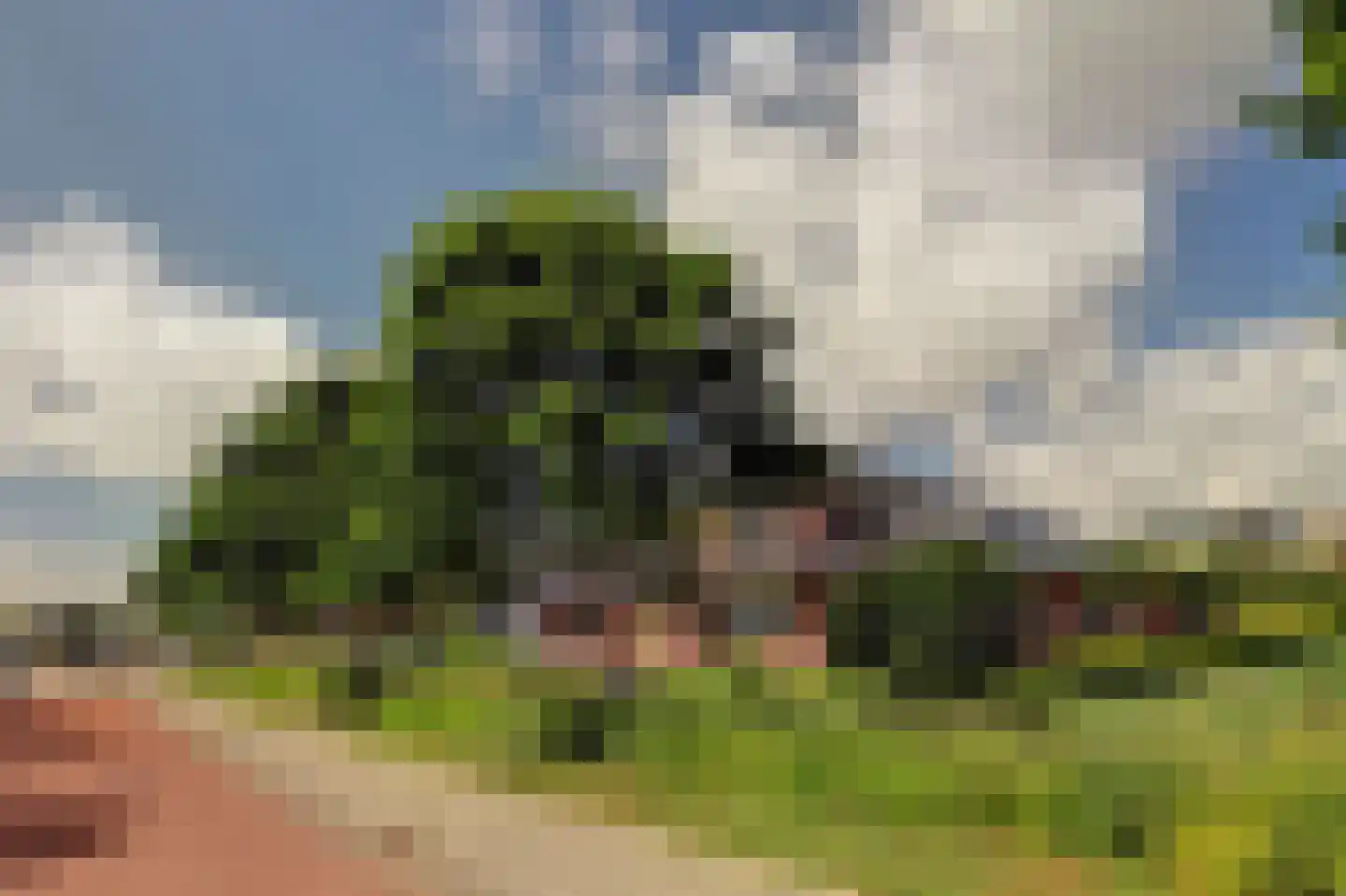 Johan van Oldenbarneveltstraat 2 1 Harlingen thumbnail 47