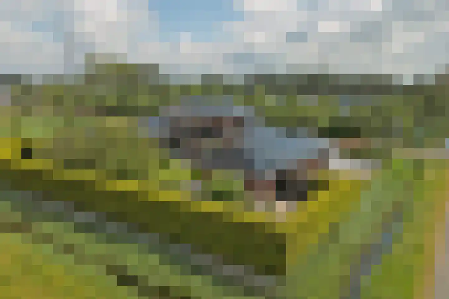 Johan van Oldenbarneveltstraat 2 1 Harlingen thumbnail 59