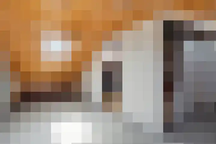 Johan van Reesstraat 1 Enschede thumbnail 26