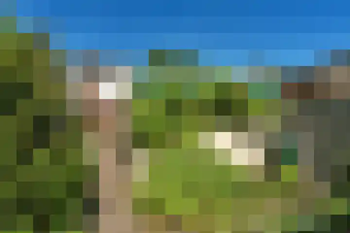 Johan van Reesstraat 1 Enschede thumbnail 34