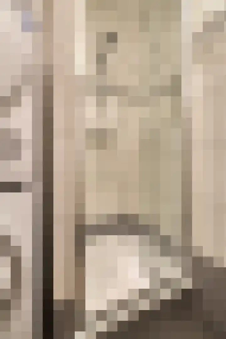 Johan van Reesstraat 1 Enschede thumbnail 40