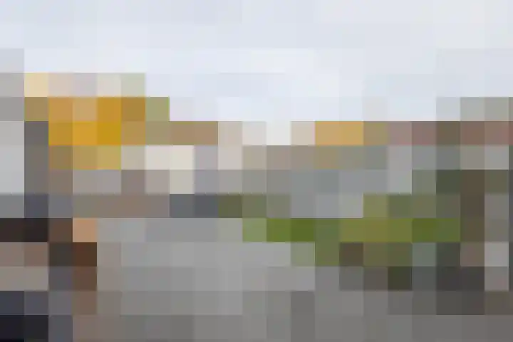 Johan van Reesstraat 34 Enschede thumbnail 33