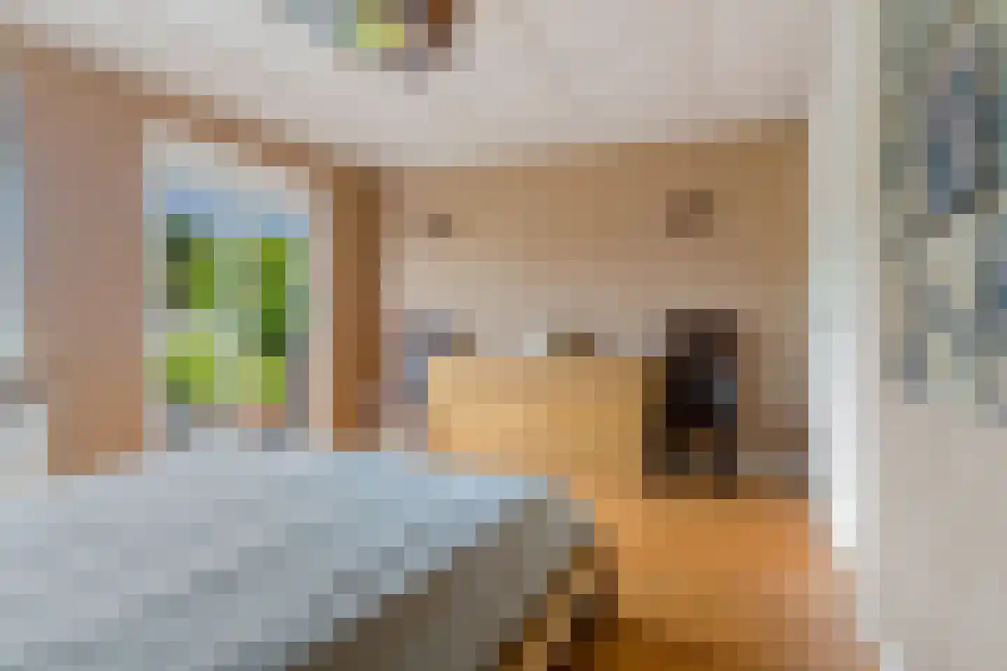 Johan van Reesstraat 44 Enschede thumbnail 28