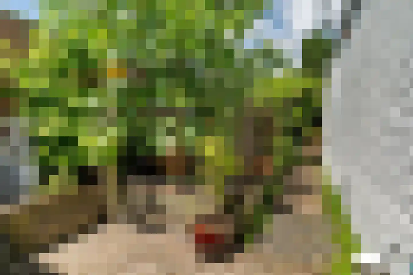 Johan van Reesstraat 44 Enschede thumbnail 30