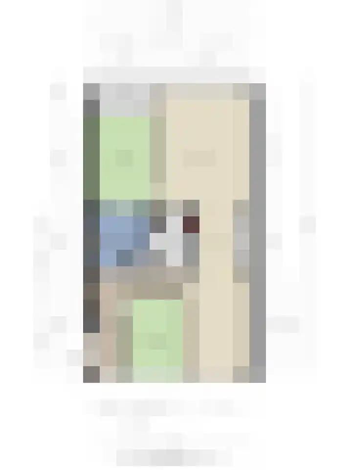 Johan van Reigersbergstraat 201 Middelburg thumbnail 36