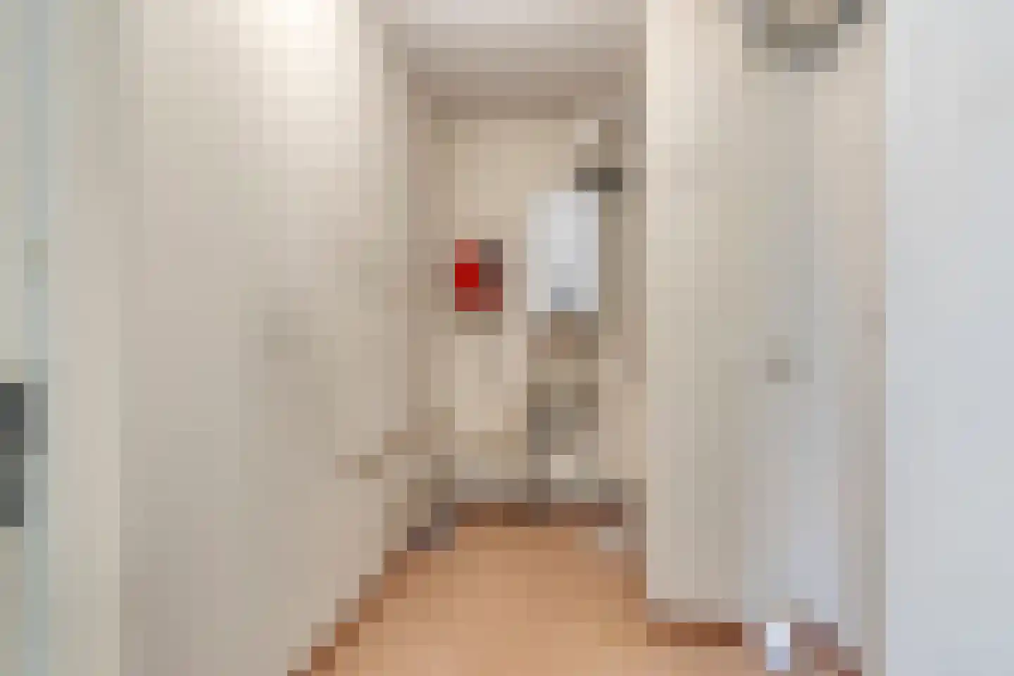 Johan van Reigersbergstraat 55 Middelburg thumbnail 14