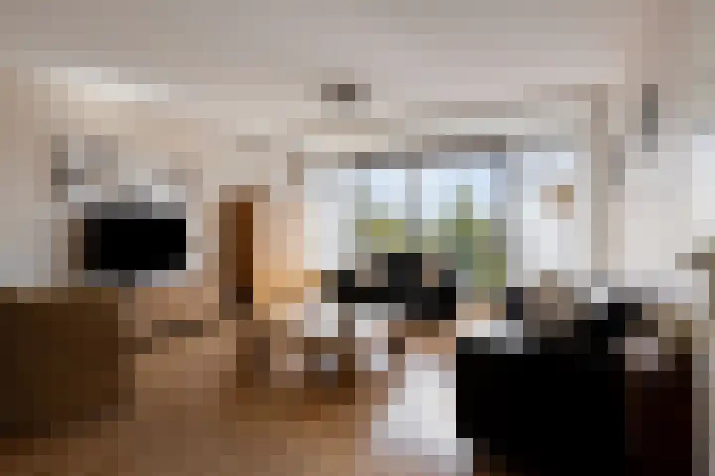 Johan van Reigersbergstraat 91 Middelburg thumbnail 10