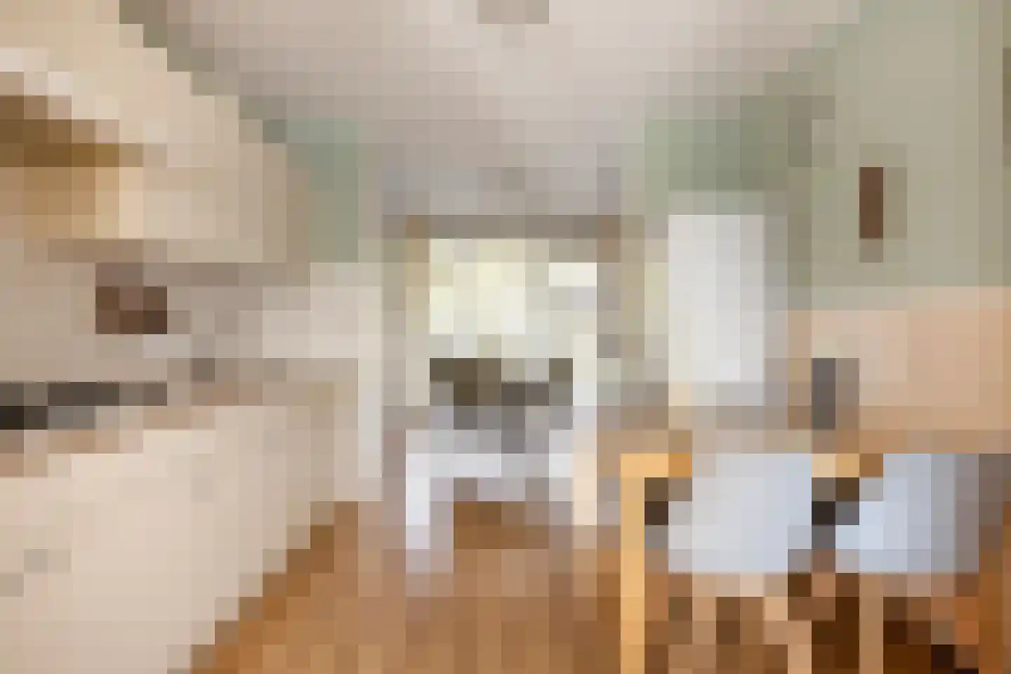 Johan van Reigersbergstraat 91 Middelburg thumbnail 17