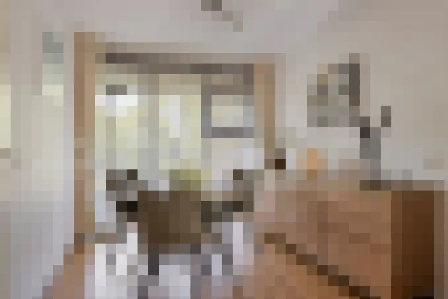 Johan van Reigersbergstraat 91 Middelburg thumbnail 23