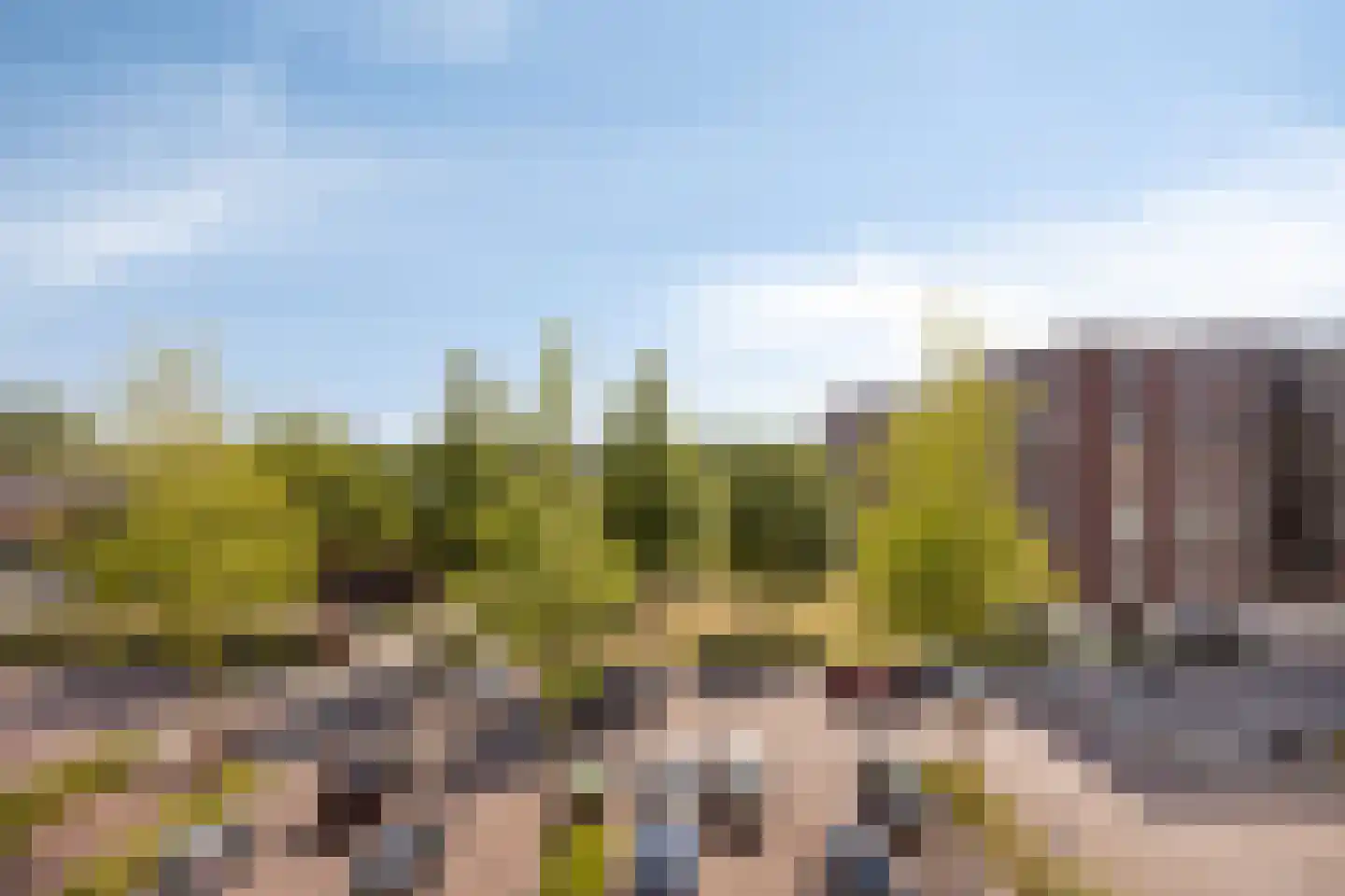 Johan van Reigersbergstraat 91 Middelburg thumbnail 32