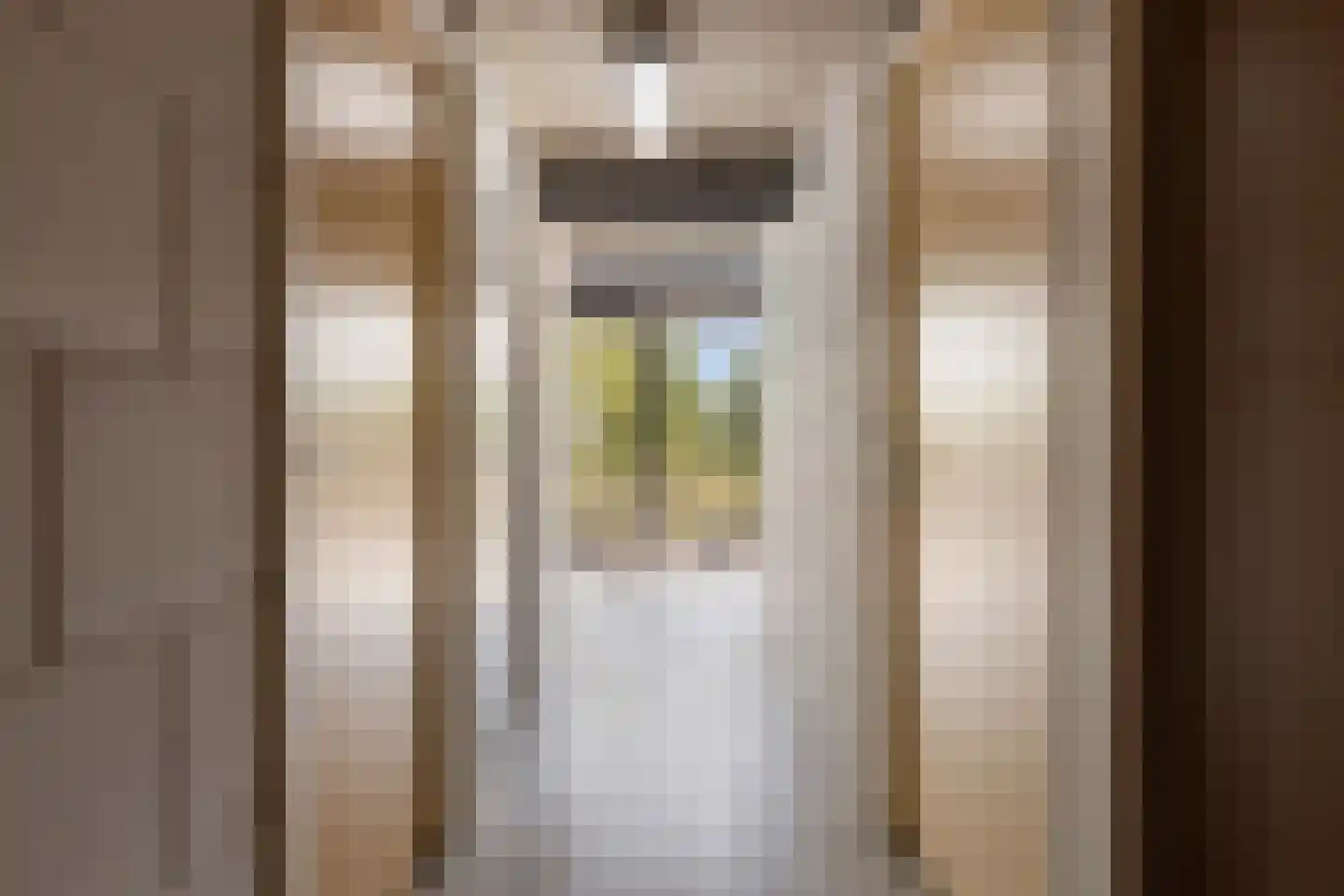 Johan van Reigersbergstraat 91 Middelburg thumbnail 33