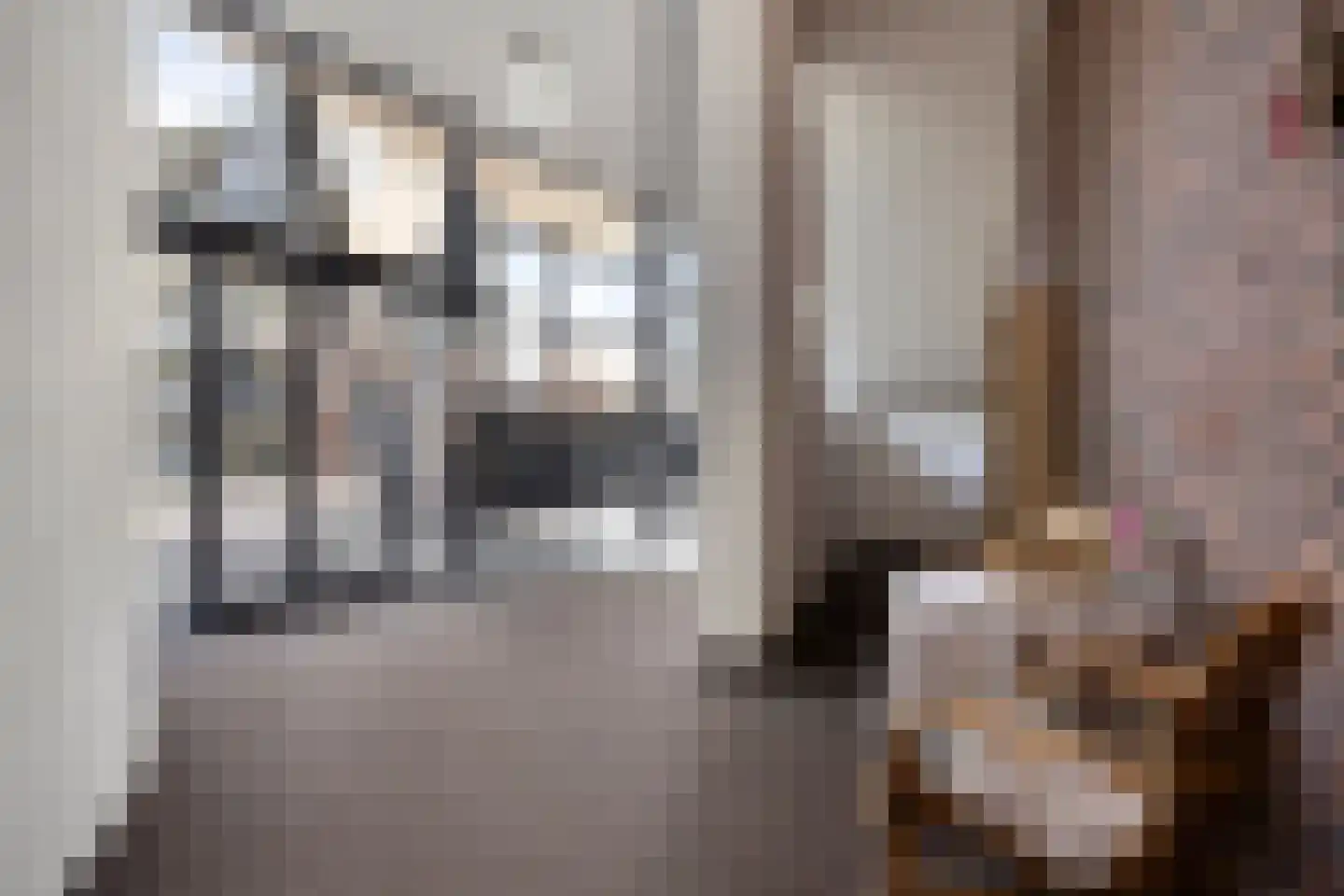 Johan van Reigersbergstraat 91 Middelburg thumbnail 5
