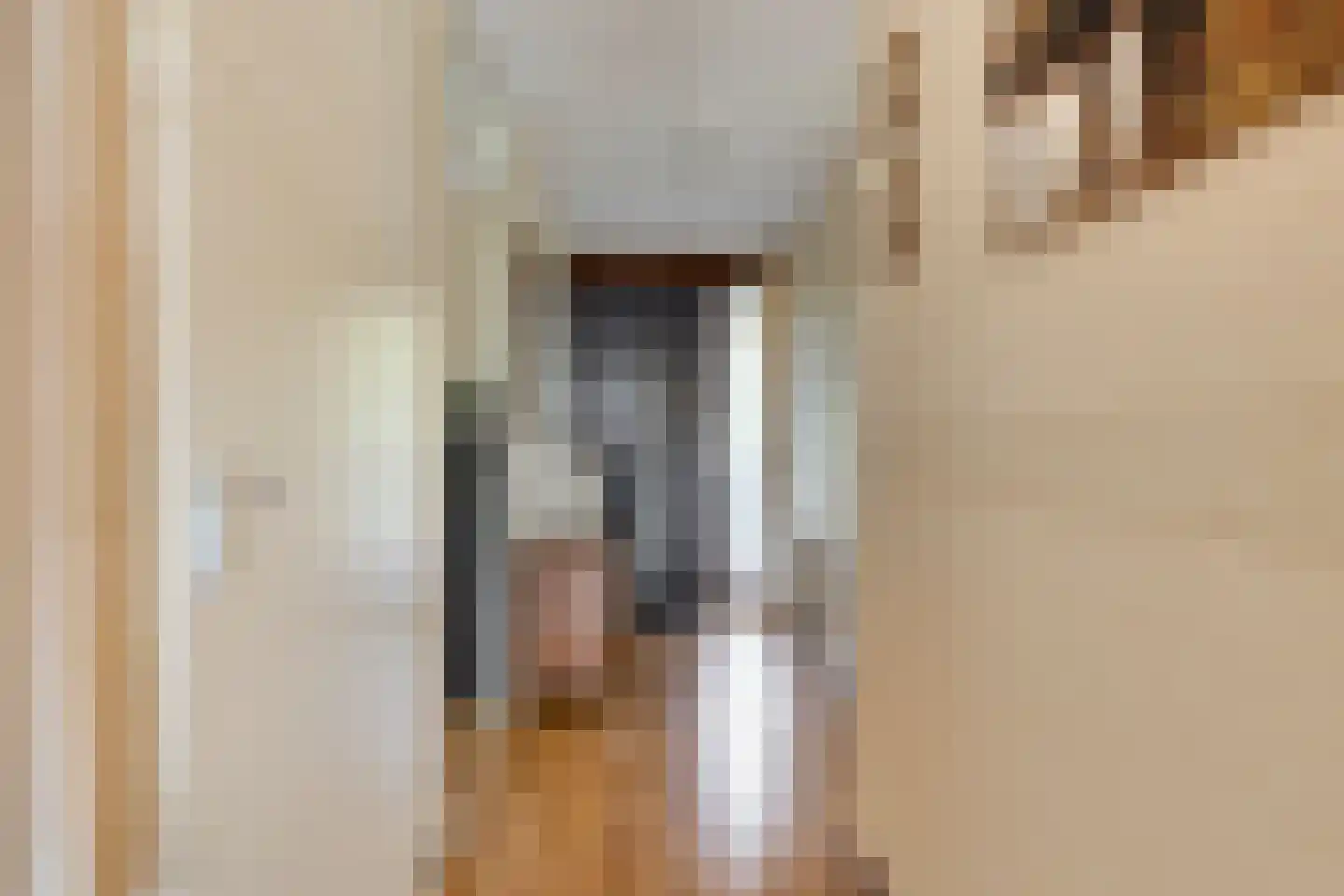 Johan van Reigersbergstraat 91 Middelburg thumbnail 8