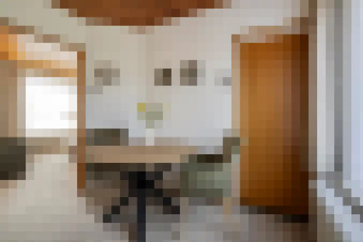 Johan van Seggelenstraat 23 Budel-Schoot thumbnail 4