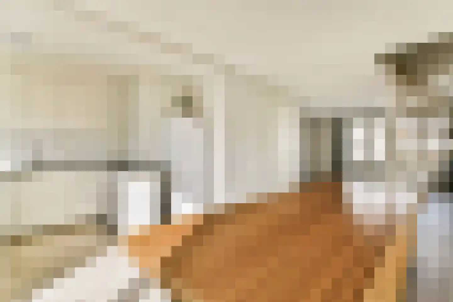 Johan van Soesdijkstraat 15 Diemen thumbnail 5