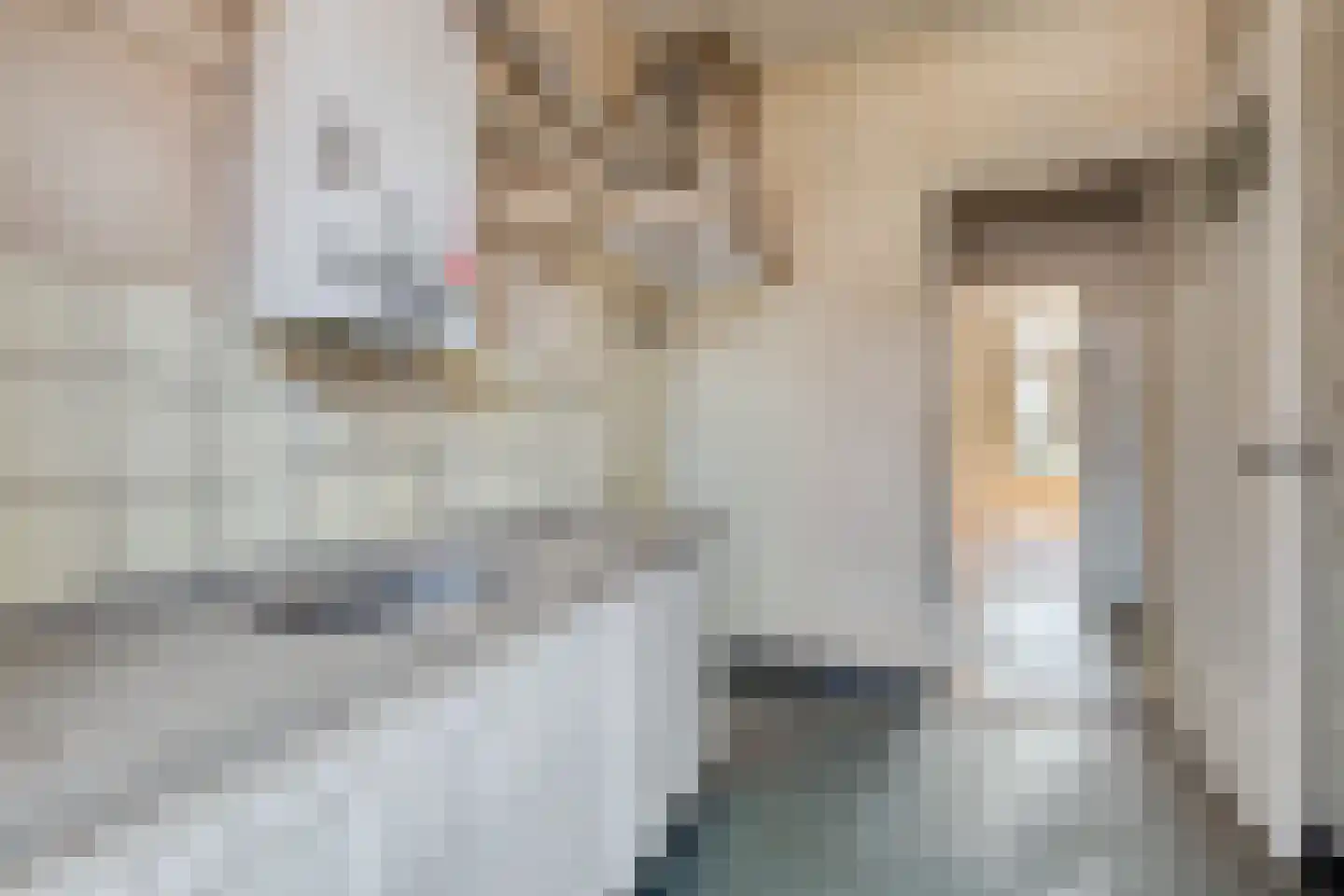 Johan van Soesdijkstraat 24 Diemen thumbnail 12