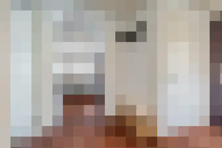 Johan van Soesdijkstraat 3 I Diemen thumbnail 12