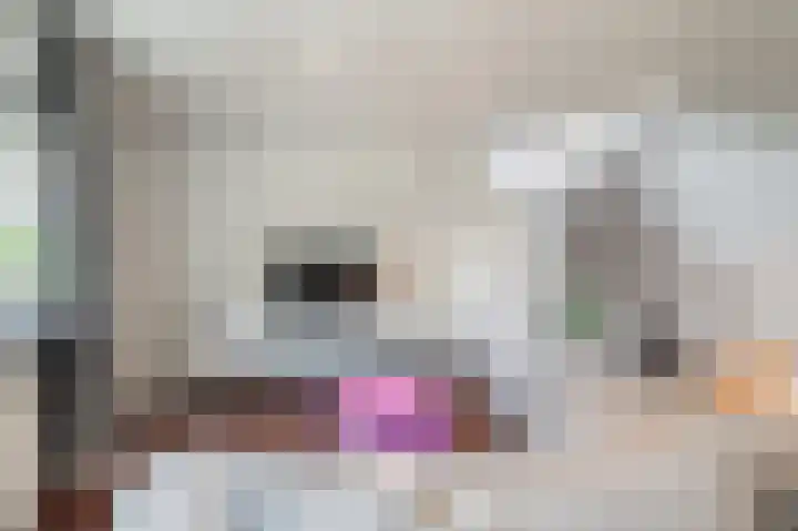 Johan van Soesdijkstraat 3 I Diemen thumbnail 8