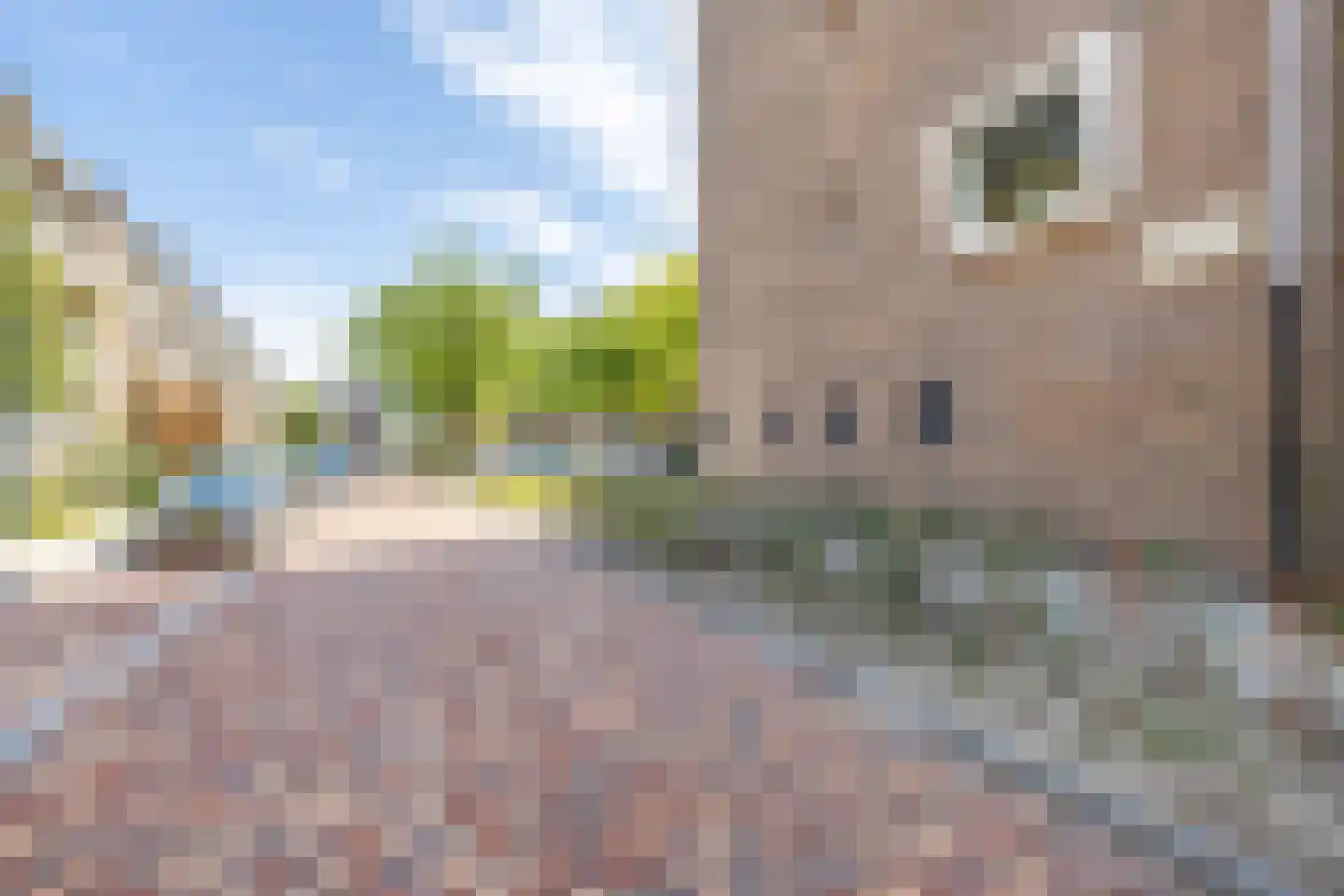 Johan van Soesdijkstraat 32 I Diemen thumbnail 36