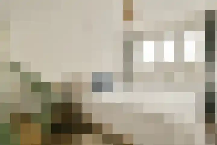 Johan van Soesdijkstraat 36 II Diemen thumbnail 13