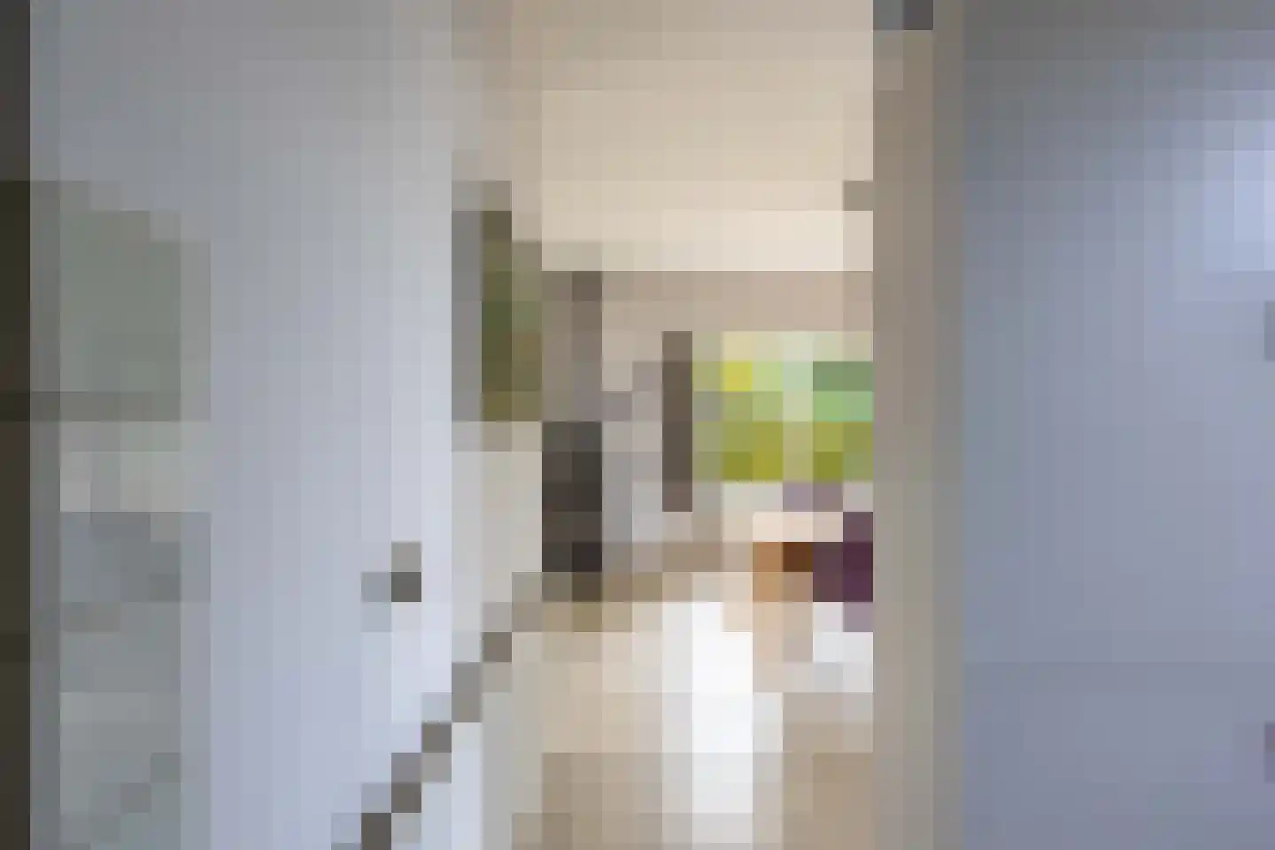 Johan van Stalbergweg 1 Vredepeel thumbnail 11