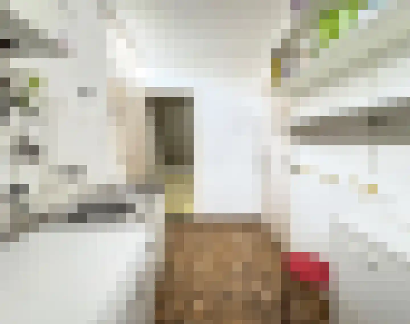 Johan van Stalbergweg 1 Vredepeel thumbnail 17