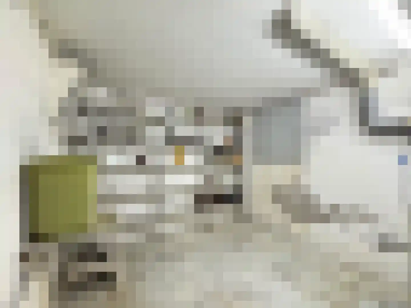 Johan van Stalbergweg 1 Vredepeel thumbnail 18