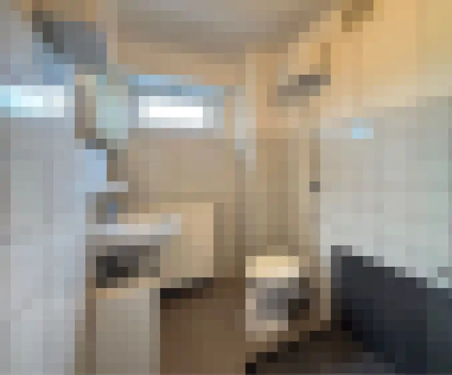 Johan van Stalbergweg 1 Vredepeel thumbnail 29