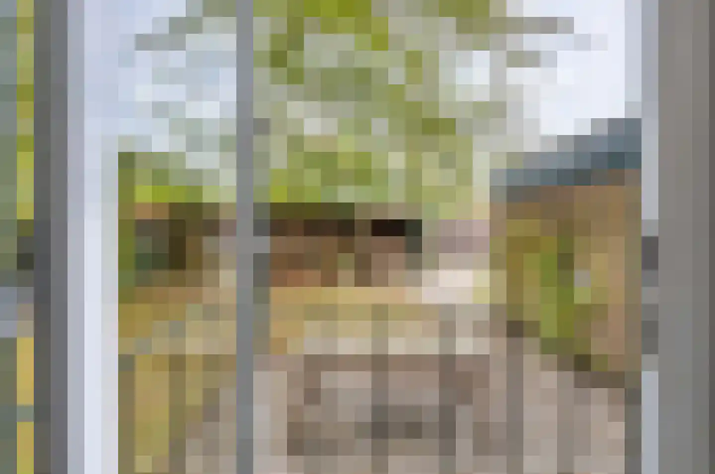 Johan van Stalbergweg 1 Vredepeel thumbnail 32