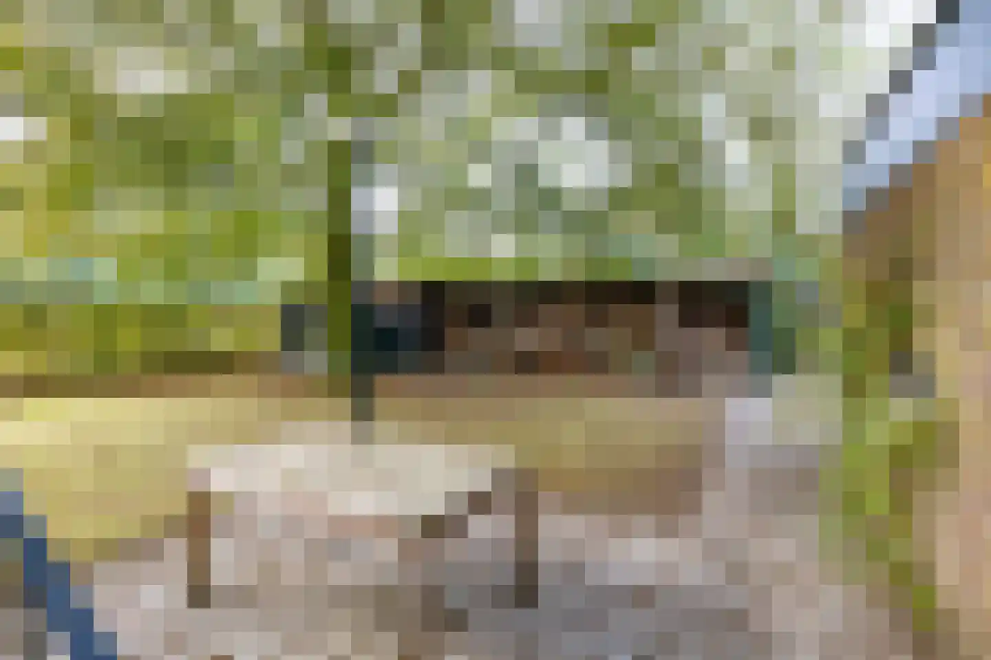 Johan van Stalbergweg 1 Vredepeel thumbnail 33