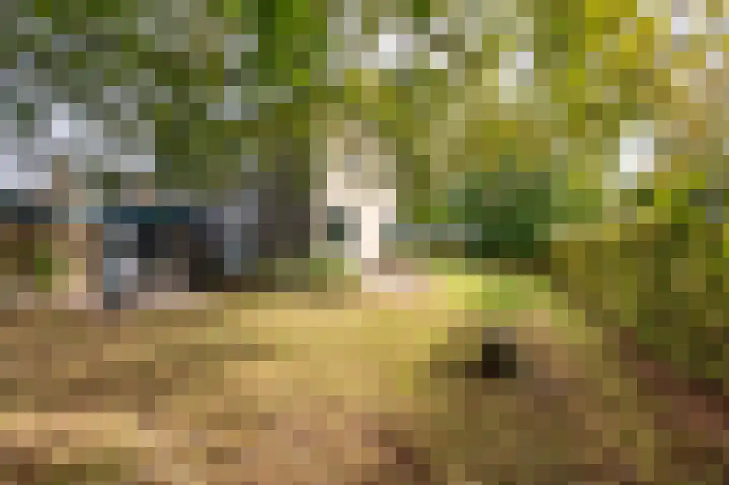 Johan van Stalbergweg 1 Vredepeel thumbnail 34