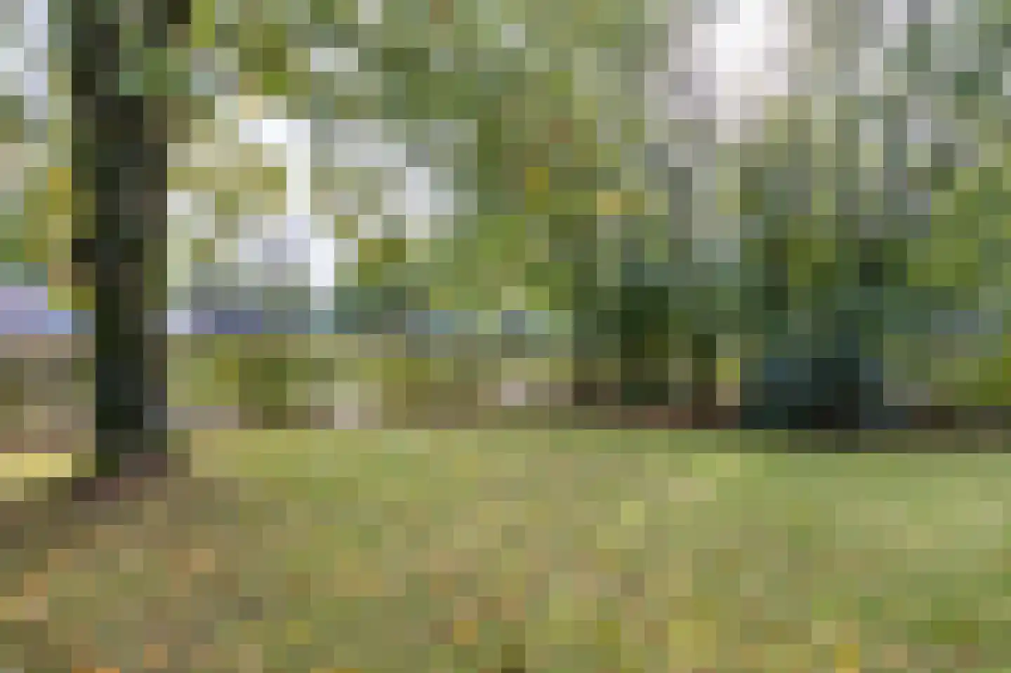 Johan van Stalbergweg 1 Vredepeel thumbnail 35