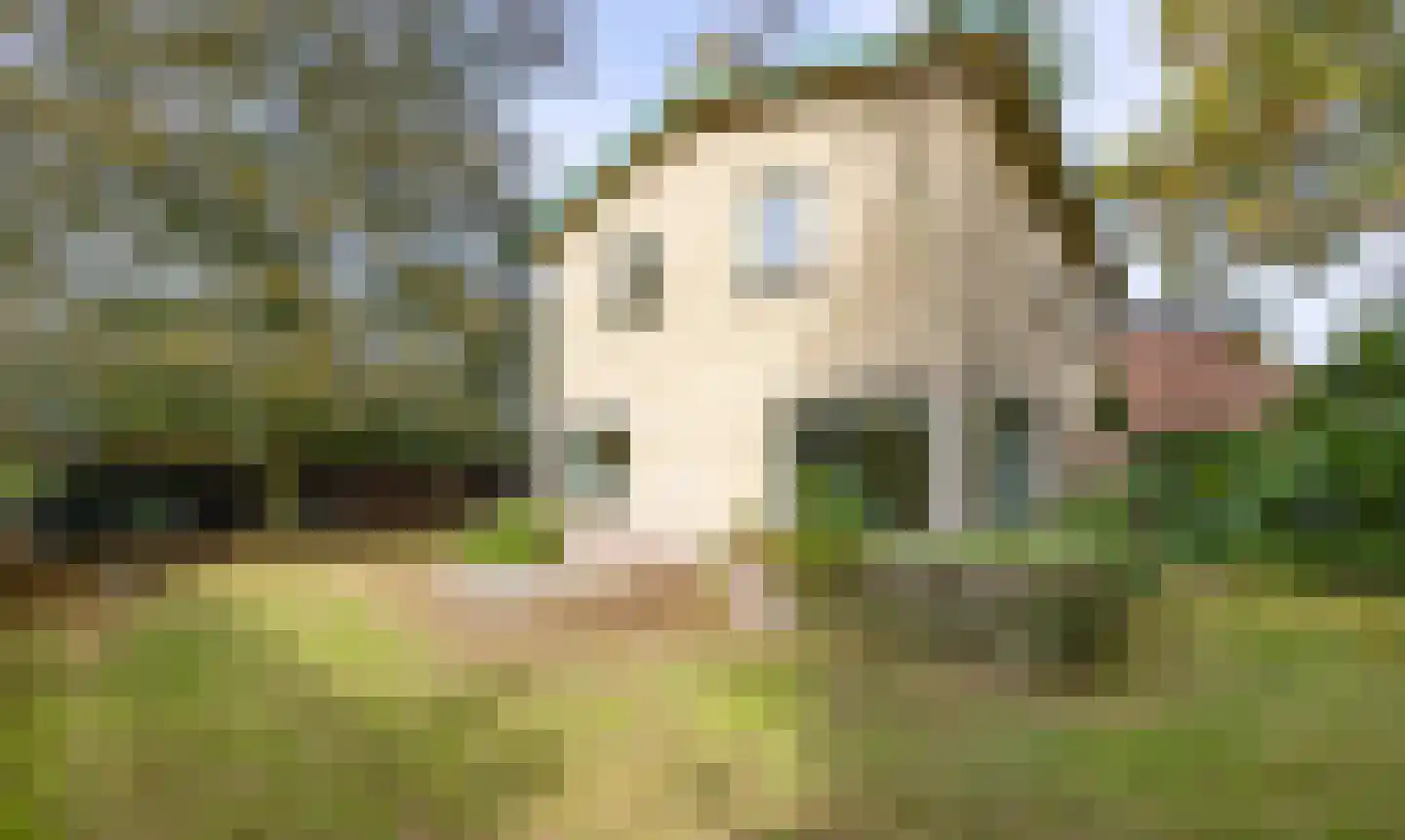 Johan van Stalbergweg 1 Vredepeel thumbnail 36