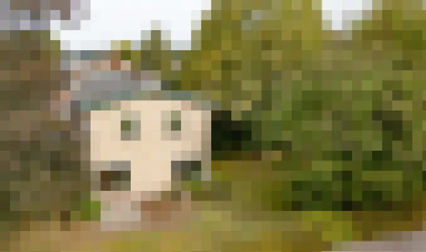 Johan van Stalbergweg 1 Vredepeel thumbnail 39