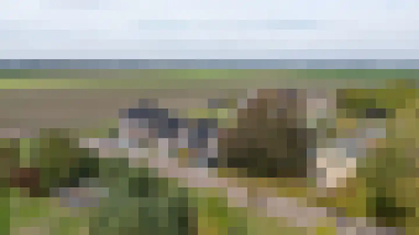 Johan van Stalbergweg 1 Vredepeel thumbnail 40