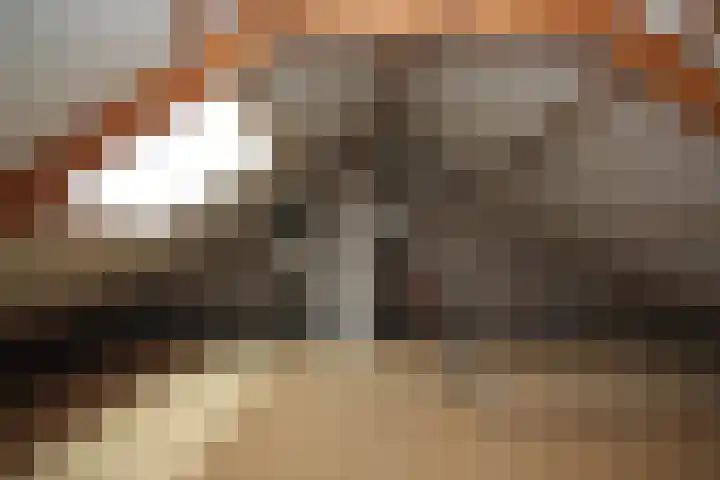 Johan van Twickelostraat 16 Raalte thumbnail 16