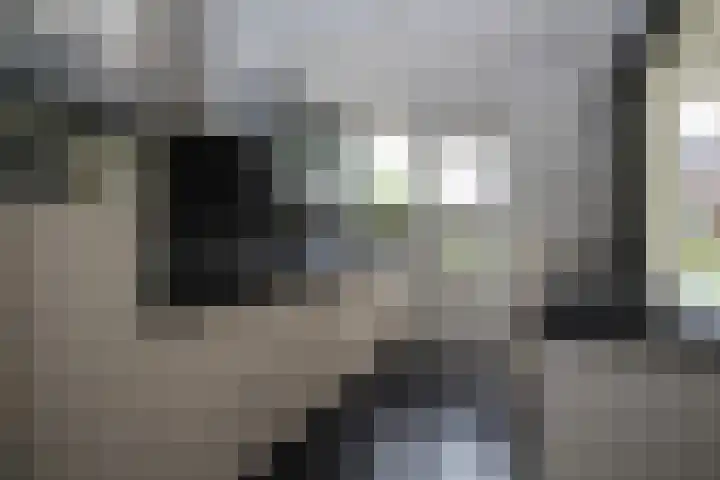 Johan van Twickelostraat 16 Raalte thumbnail 6