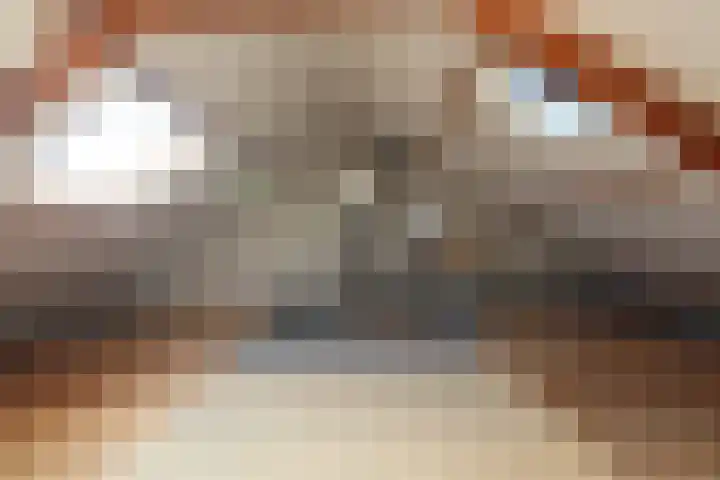 Johan van Twickelostraat 46 Raalte thumbnail 14