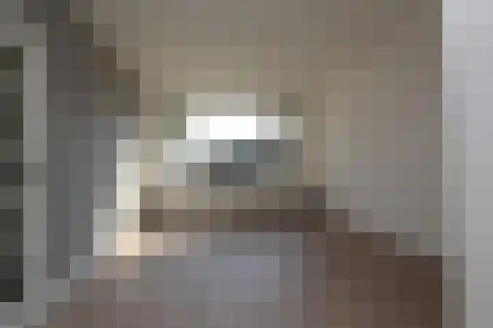 Johan van Twickelostraat 46 Raalte thumbnail 6