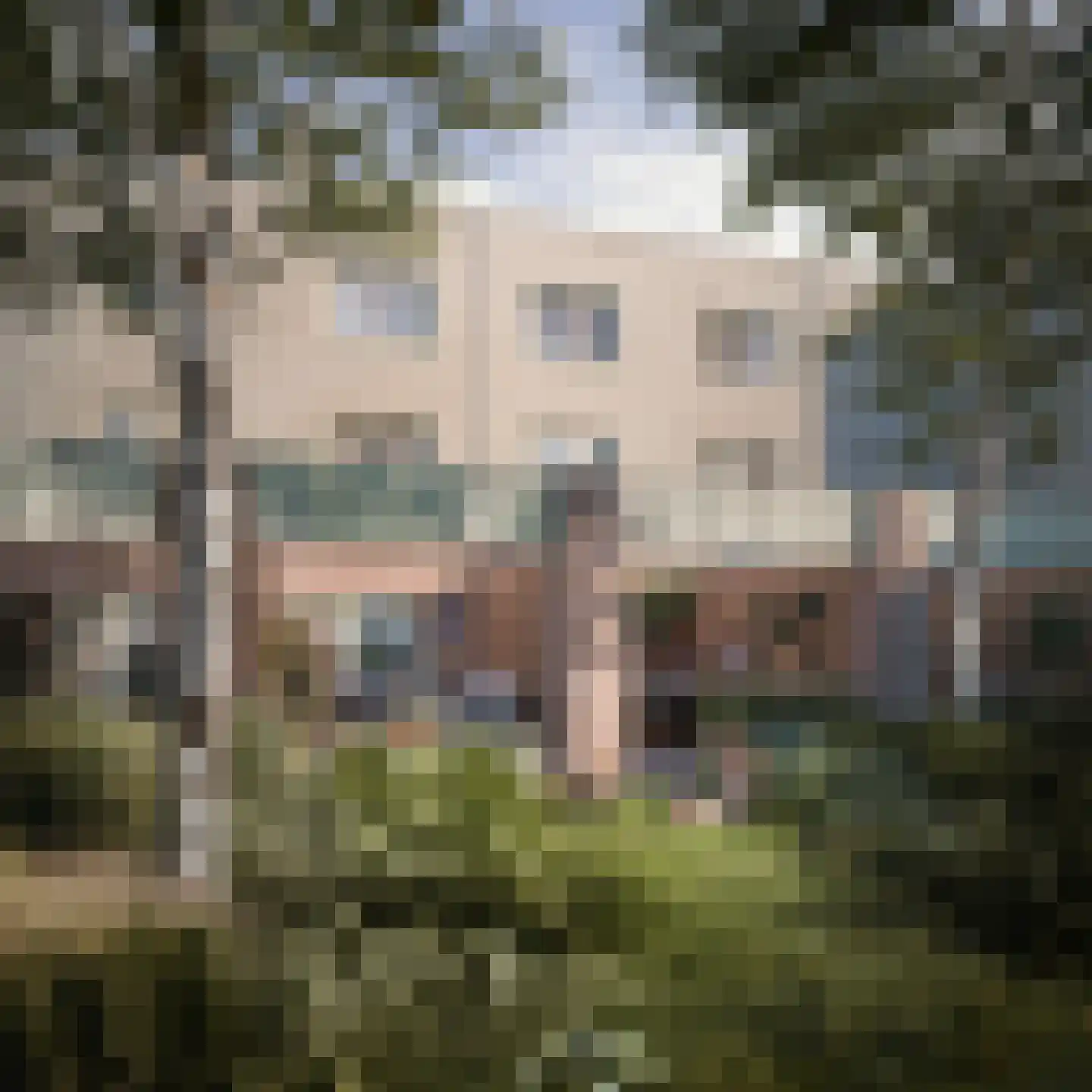 Johan van Veenstraat 21 Groningen thumbnail 6