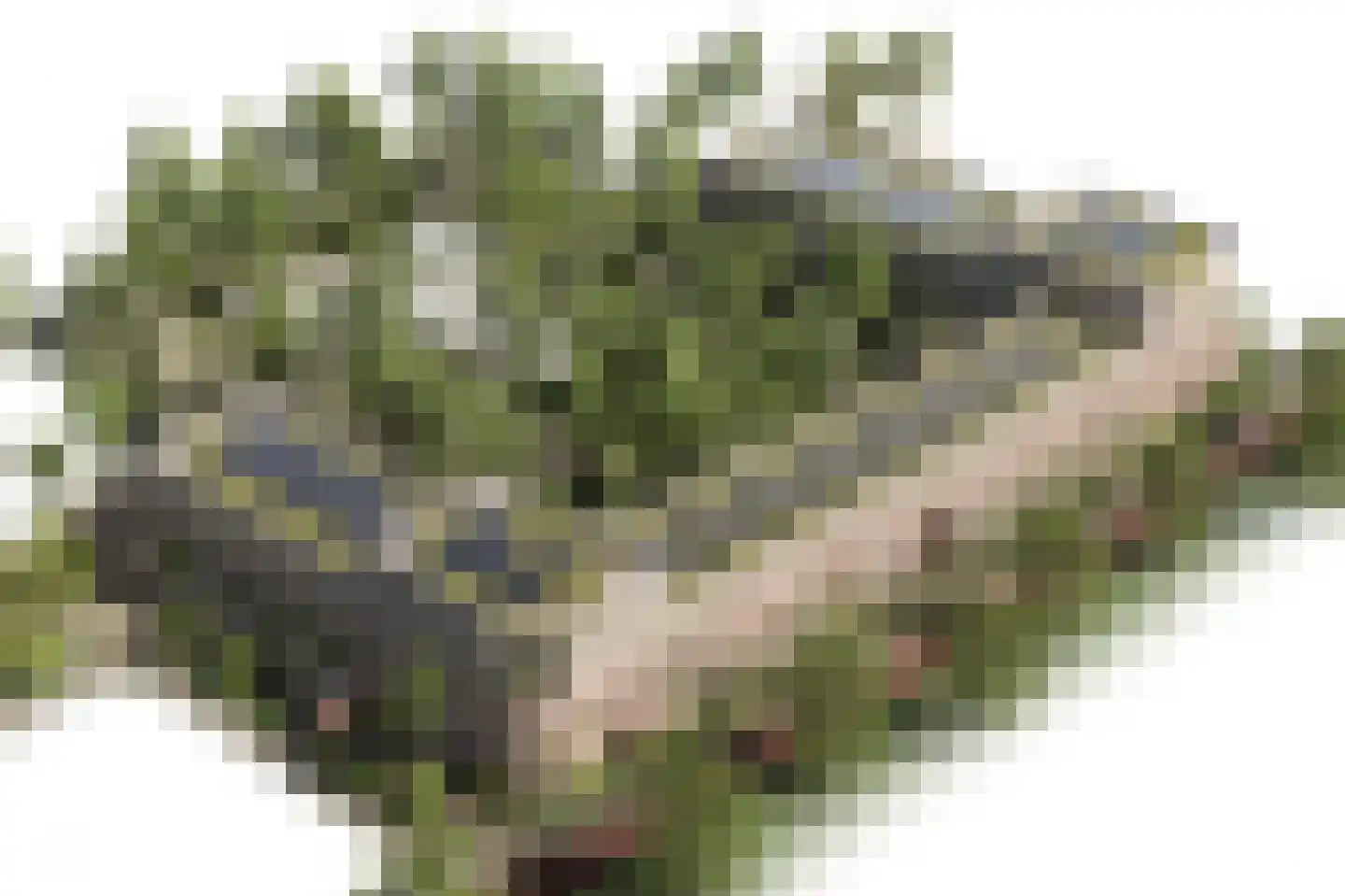 Johan van Veenstraat 23 Groningen thumbnail 7