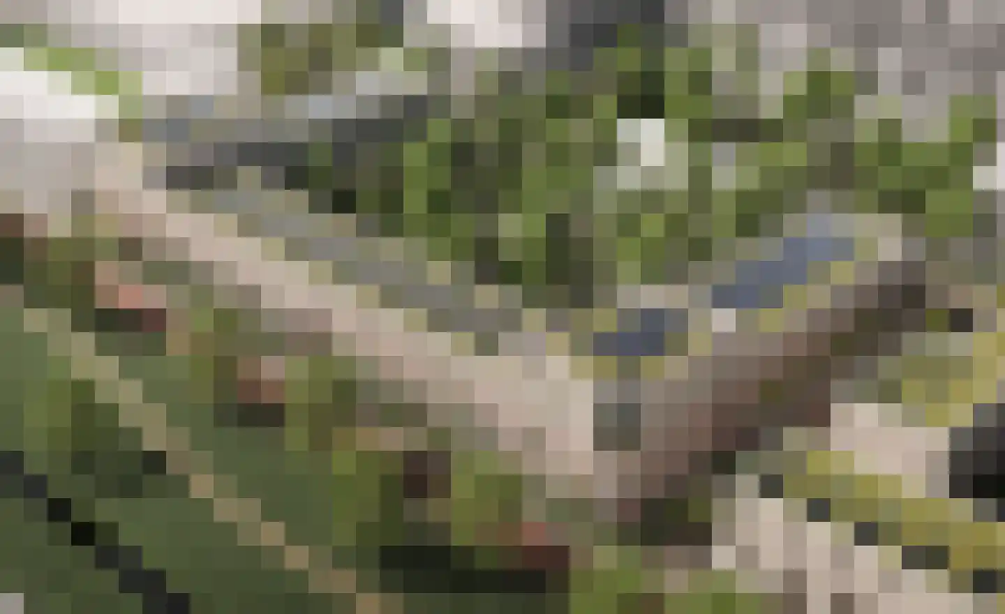 Johan van Veenstraat 23 Groningen thumbnail 9