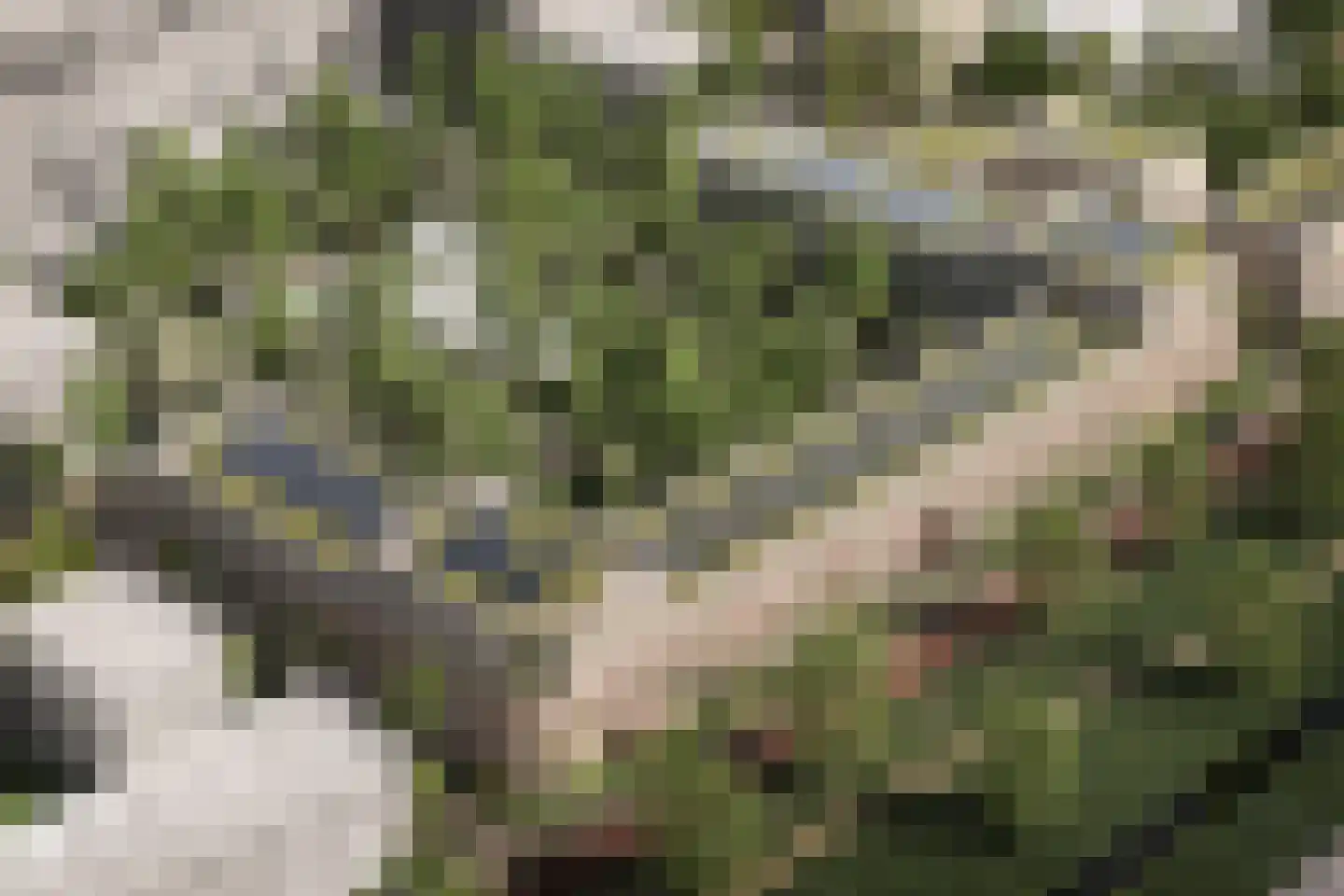 Johan van Veenstraat 29 Groningen thumbnail 9