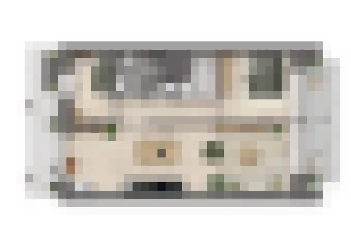 Johan van Veenstraat 7 Groningen thumbnail 14