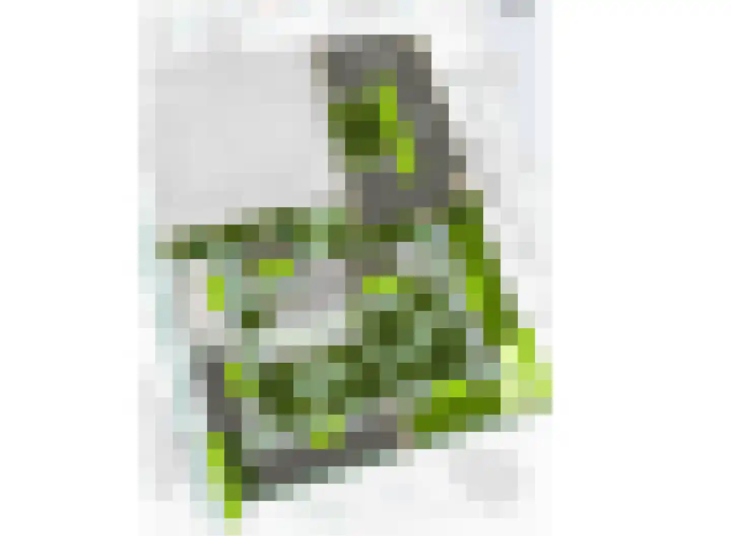 Johan van Veenstraat 9 Groningen thumbnail 12