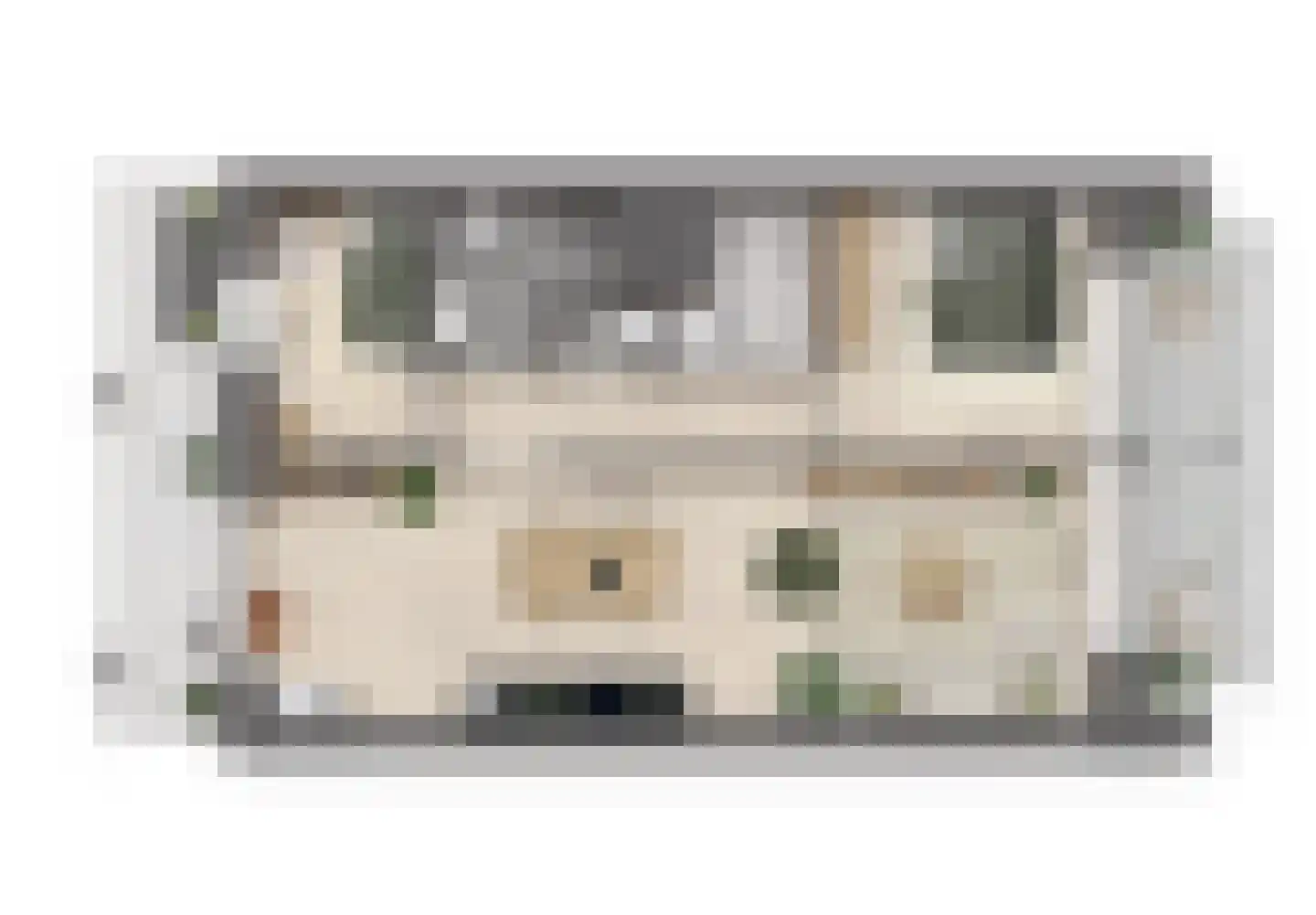 Johan van Veenstraat 9 Groningen thumbnail 15