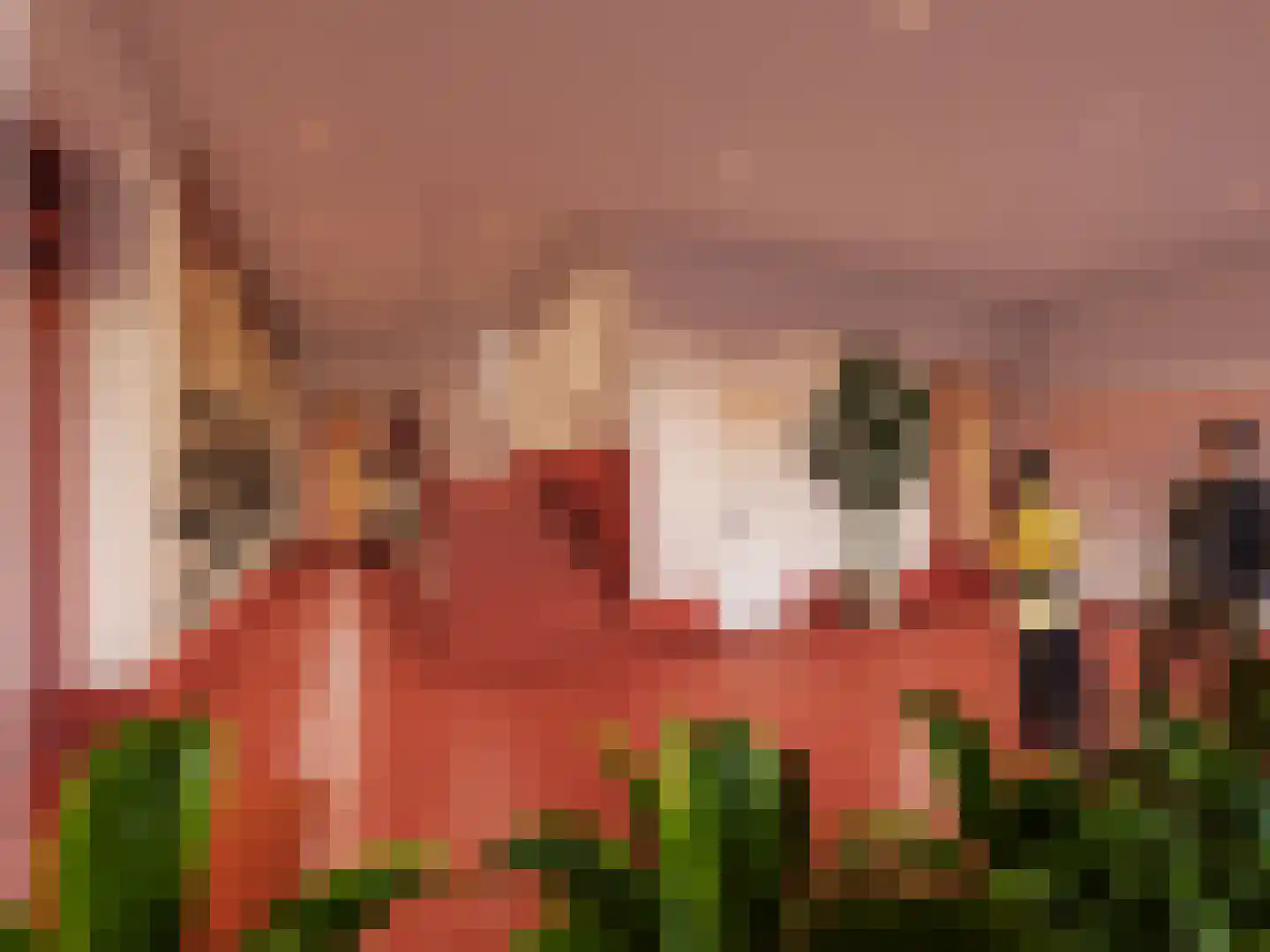 Johan van Veenstraat 9 Groningen thumbnail 16