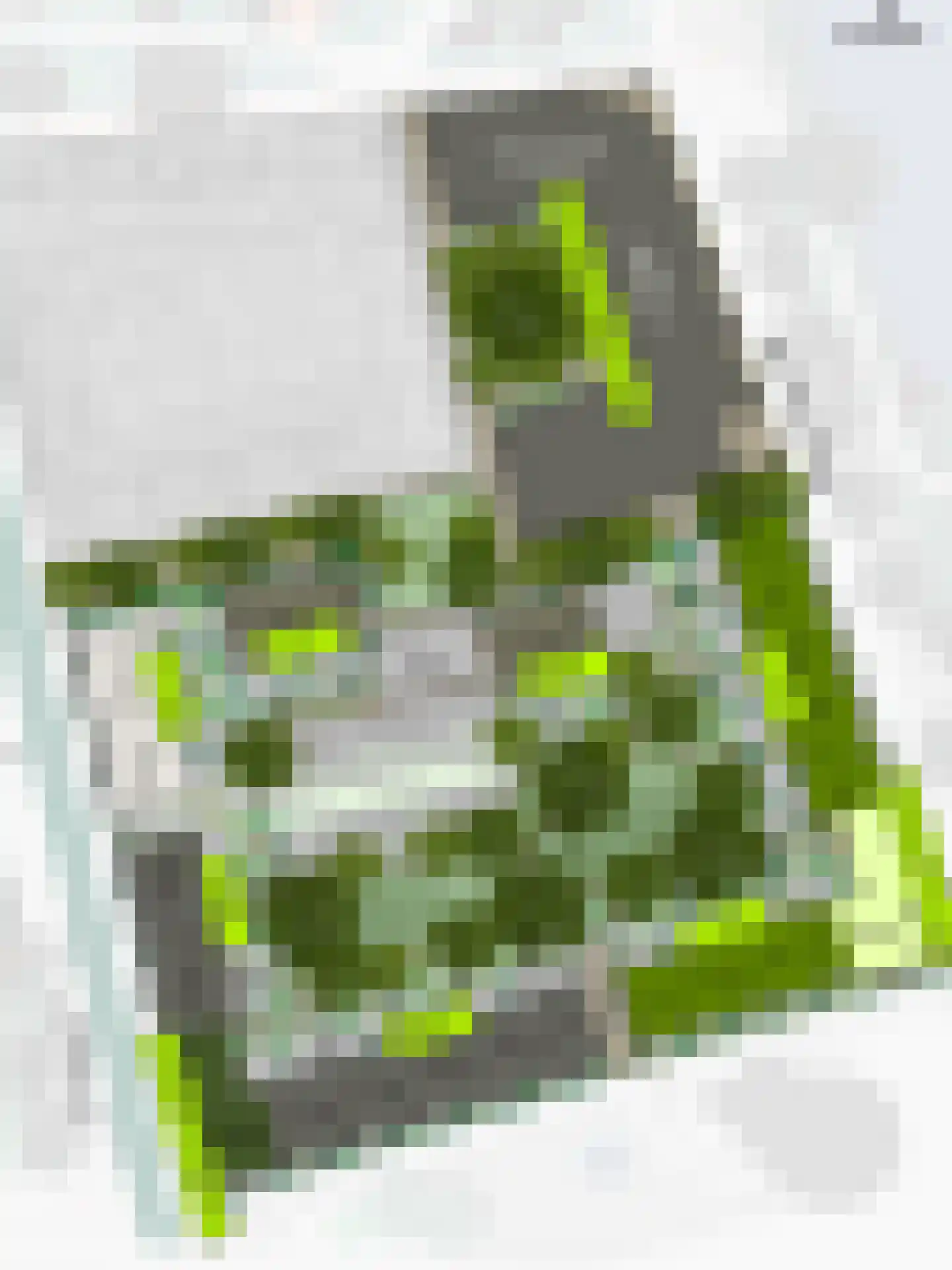 Johan van Veenstraat 9 Groningen thumbnail 9