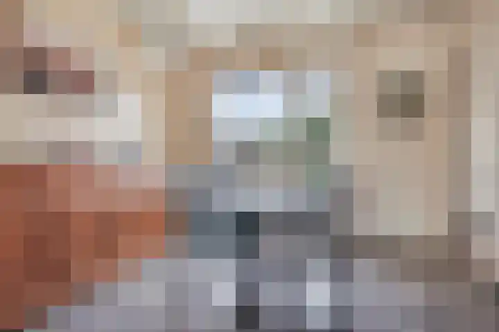 Johan van Willigenstraat 23 Ravenstein thumbnail 12