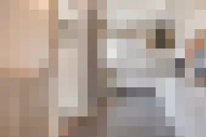 Johan van Willigenstraat 23 Ravenstein thumbnail 13